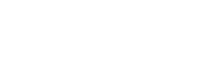 The Winston Logo